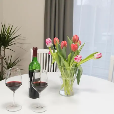 Apartman Hill Kaunas